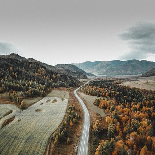 Photo #5054682