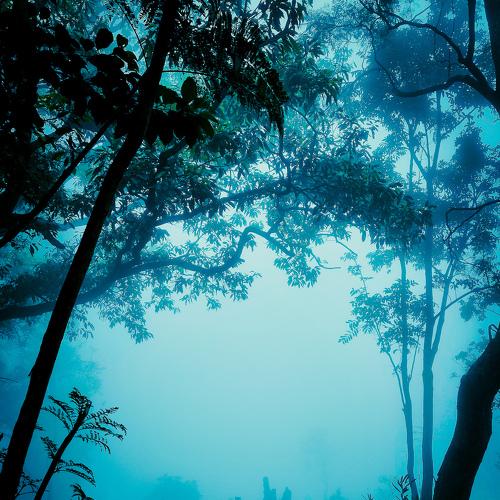 Photo #5054911