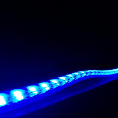Photo #5055038