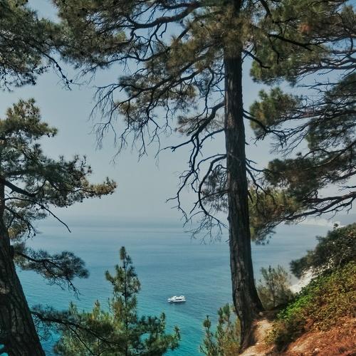 Photo #5055049