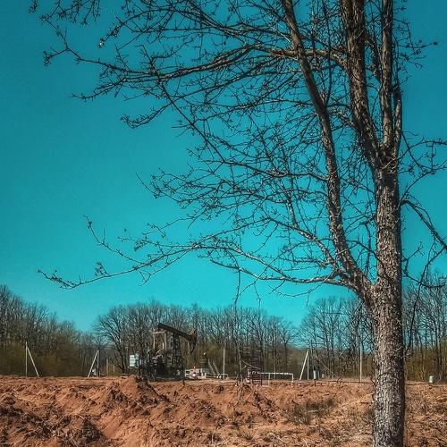 Photo #5055141