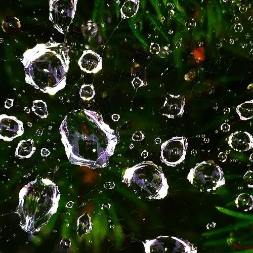 Photo #5055190