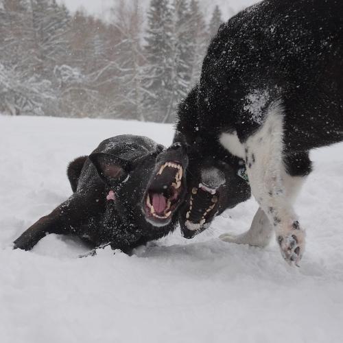 Photo #5055245