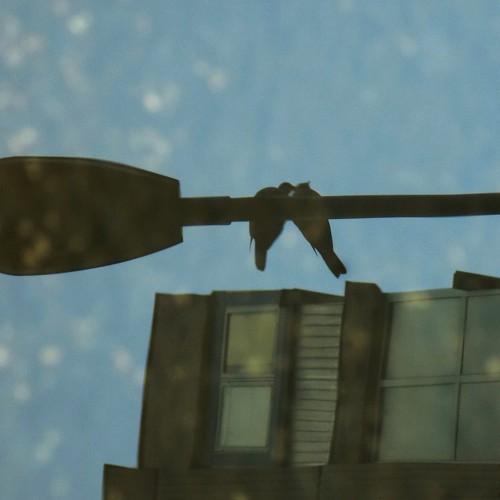 Photo #5055327