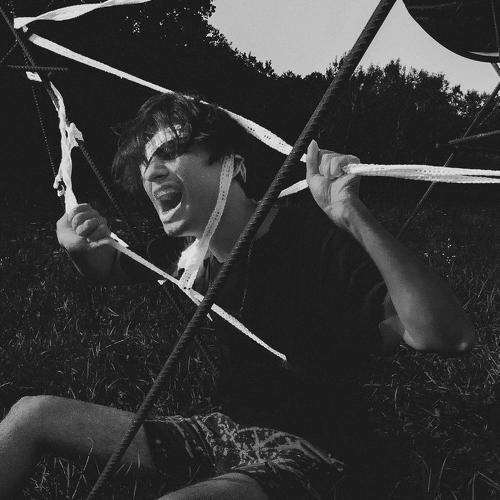 Photo #5055500