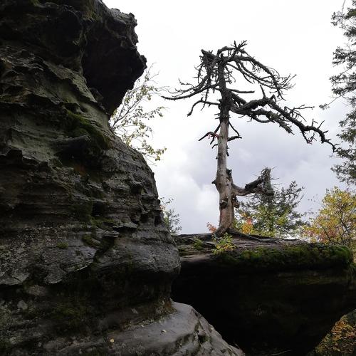Photo #5055501