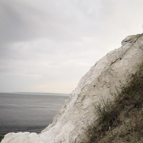 Photo #5055519