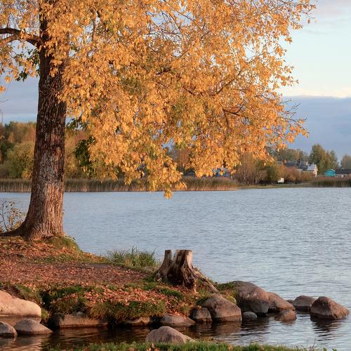 Photo #5055684