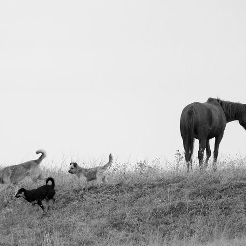 Photo #5055707