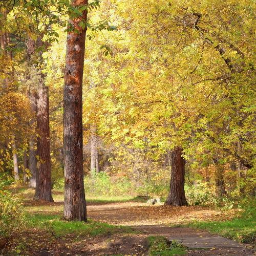 Photo #5056058