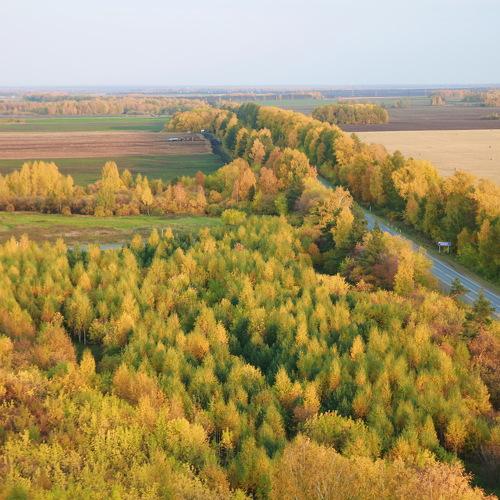 Photo #5056059