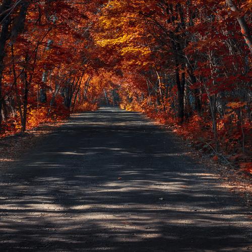 Photo #5056067