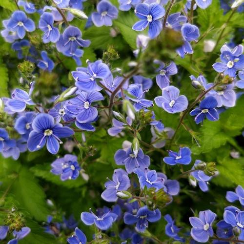 Photo #5056537