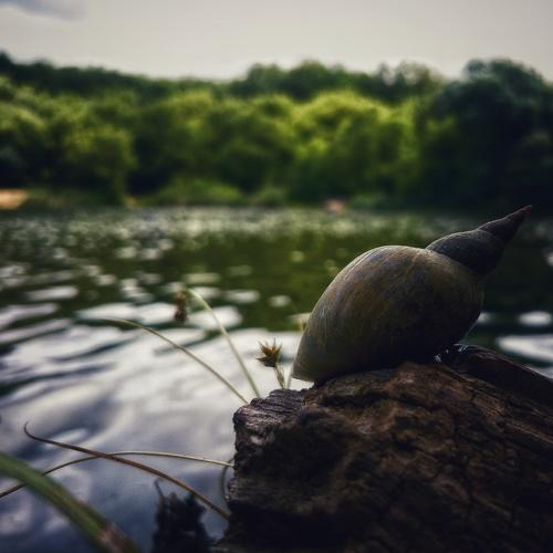 Photo #5056554