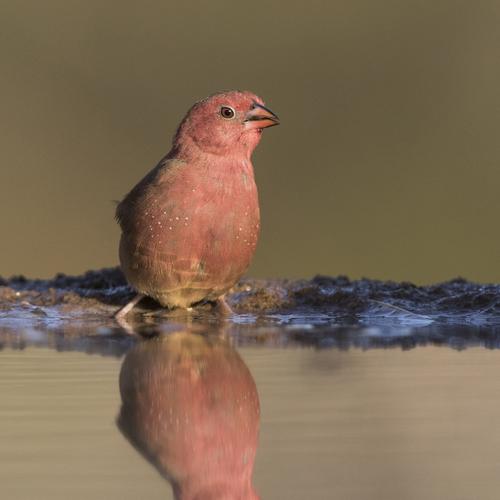 Photo #5056935