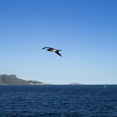 Photo #5057065