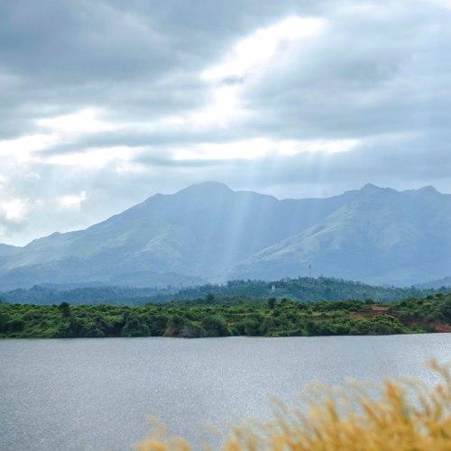 Photo #5057156