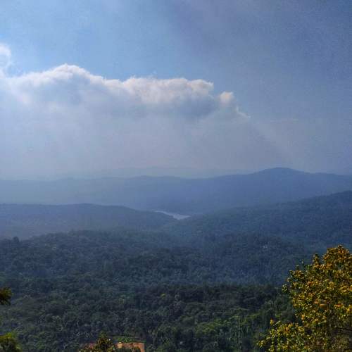 Photo #5057210