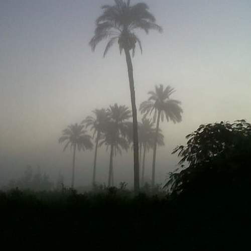 Photo #5057355