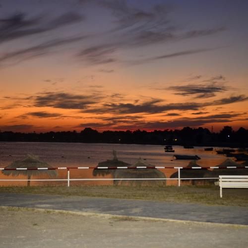 Photo #5057441