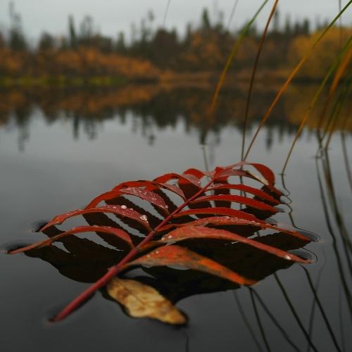 Photo #5057543