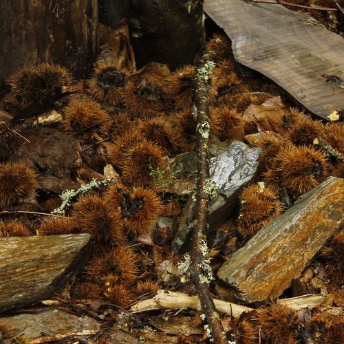 Photo #5057611