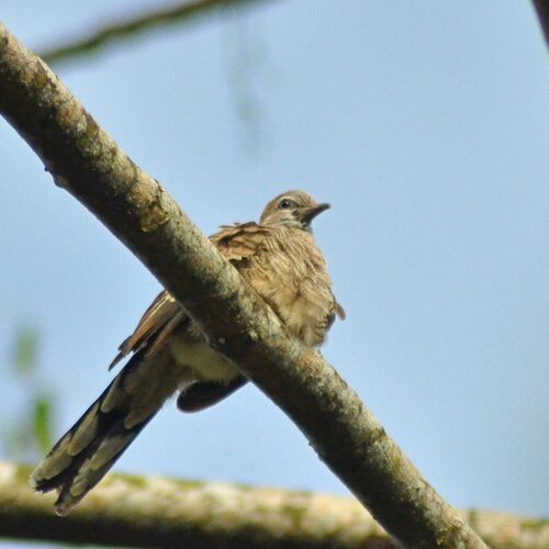 Photo #5057724