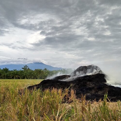 Photo #5057770