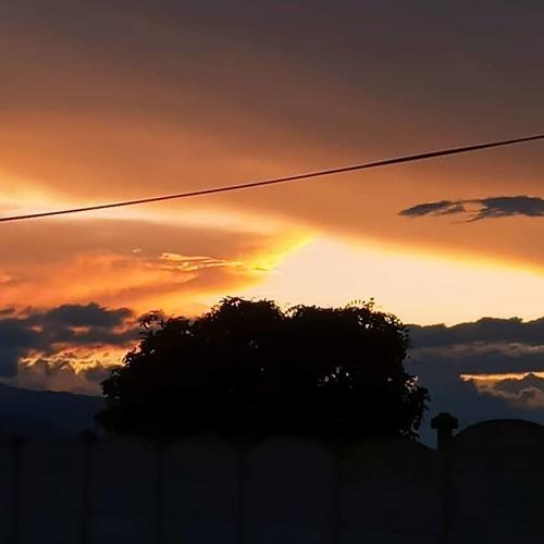 Photo #5057979