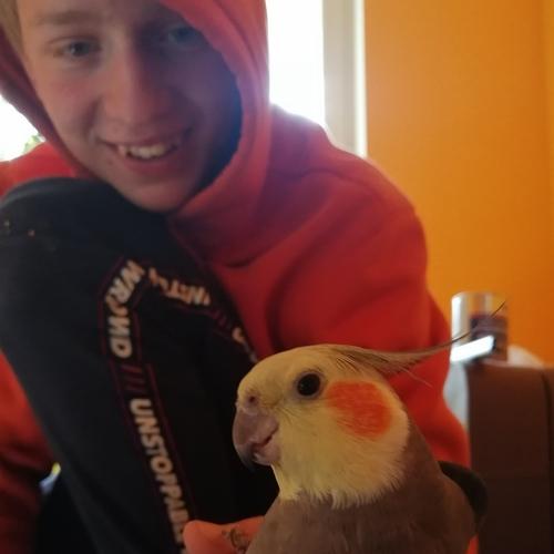 Photo #5058086