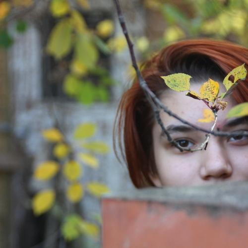 Photo #5058250