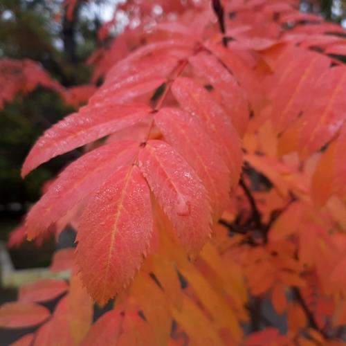 Photo #5058312