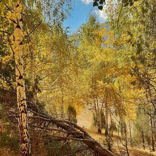 Photo #5058604