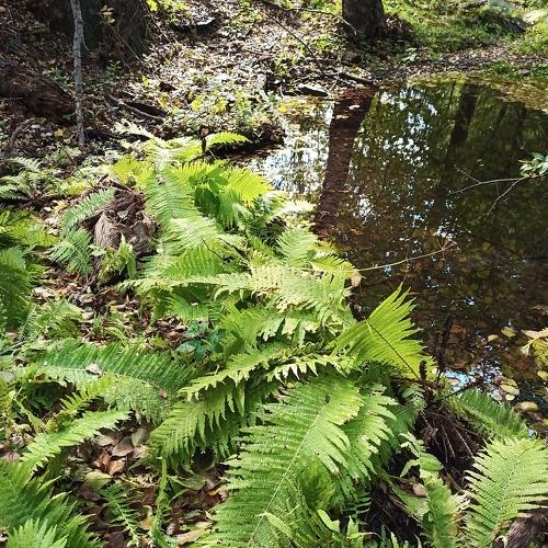 Photo #5058772