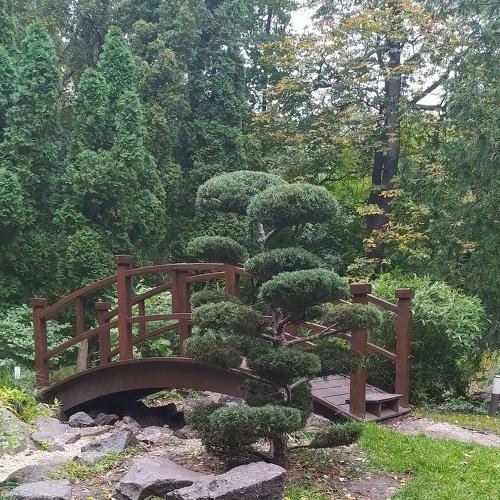 Photo #5058886