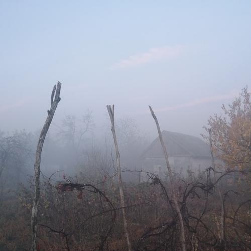 Photo #5058889
