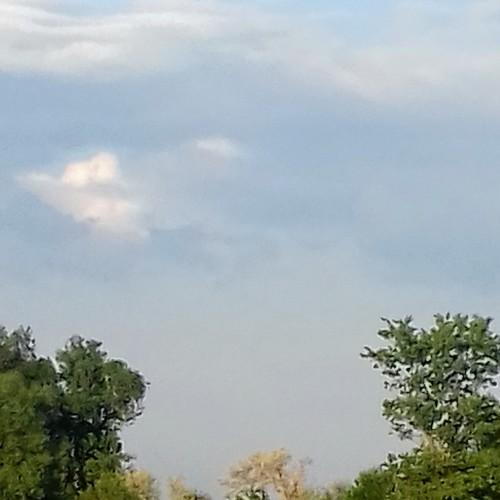Photo #5058946