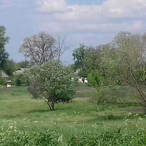 Photo #5058953