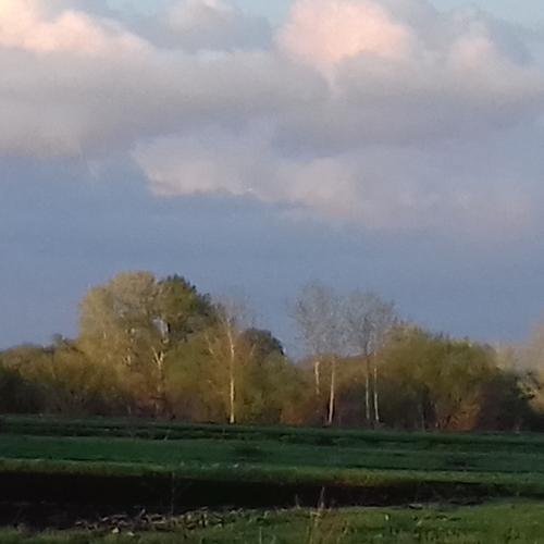 Photo #5058964