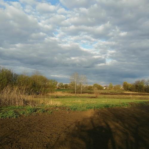 Photo #5058971