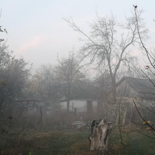 Photo #5059004