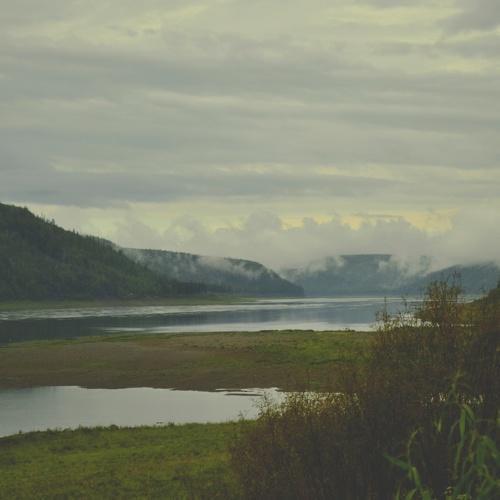 Photo #5059392