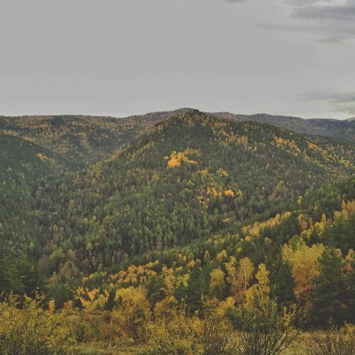 Photo #5059403