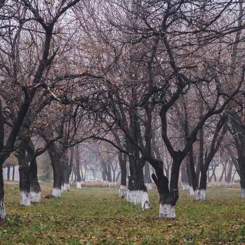 Photo #5059486
