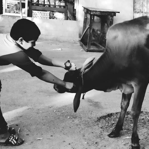 Childhood