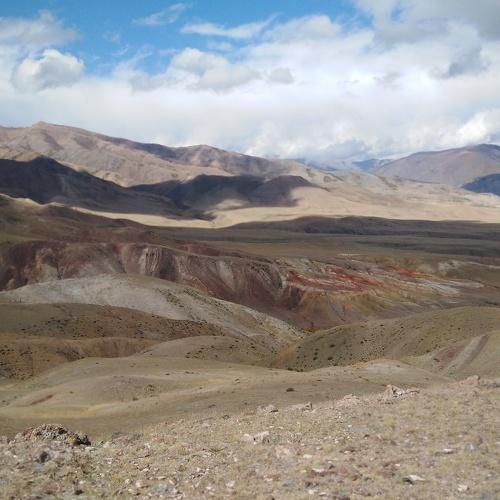 Photo #5059559