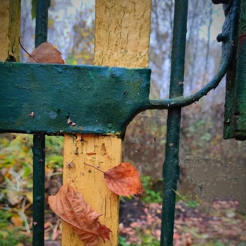 Осень. Беларусь.