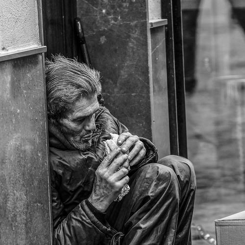 Photo #5060159