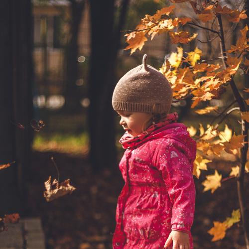 Photo #5060421