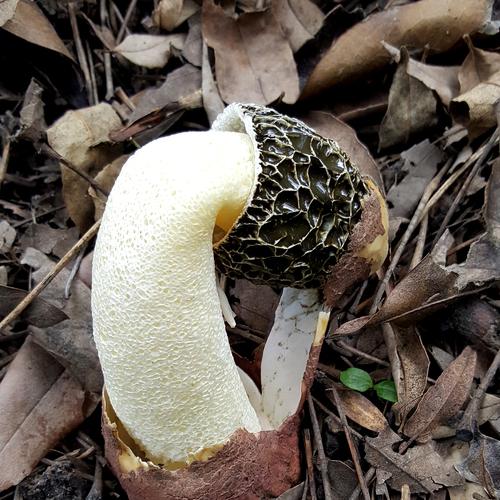 Photo #5060908